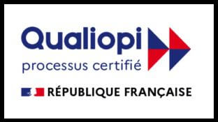 q logo(1) q logo(1)
